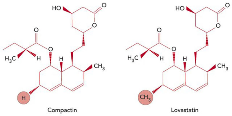 statins-for-lowering-ldl-and-decreasing-heart-attacks-lasker-foundation