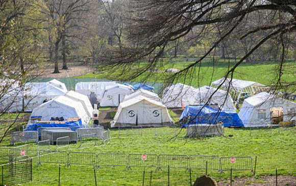 Tents in a field