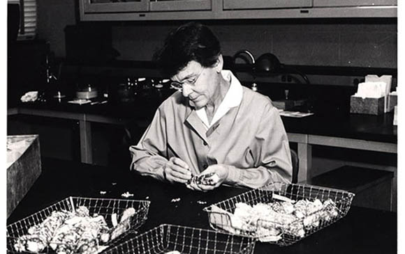 Barbara McClintock