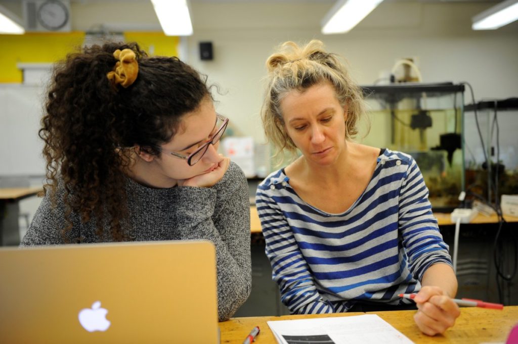 A teacher is going viral for giving a biology lesson wearing an