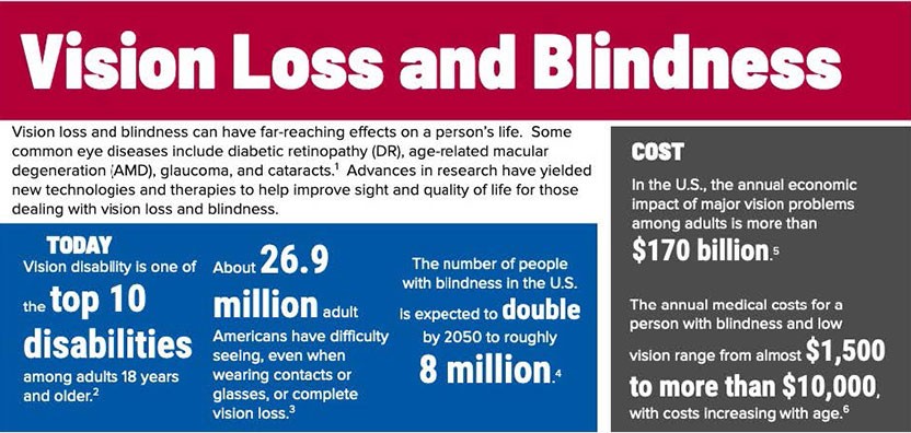 vision loss fact sheet