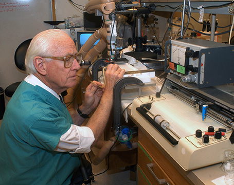 Clements in the lab