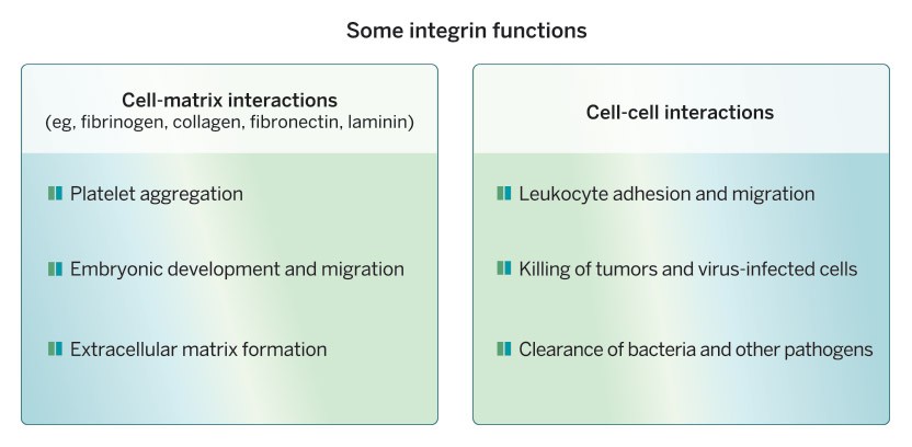 Some integrin functions