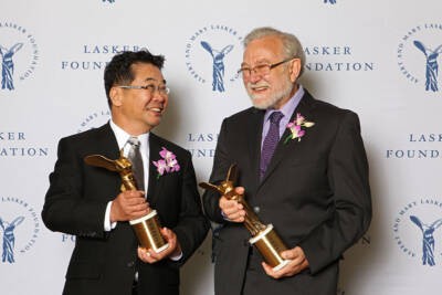 Mori and Walter 2014